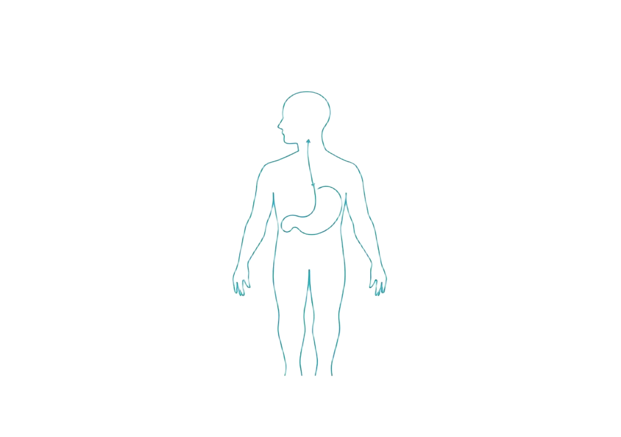 Line diagram showing GLP-1 signalling to the appetite centre, stomach and pancreas